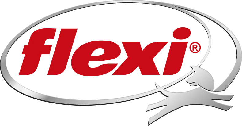Logo: flexi